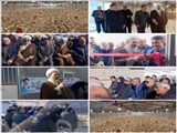 افتتاح یک واحد مرغداری گوشتی در شهرستان اهر