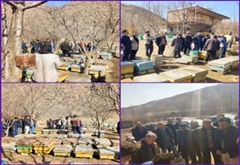 برگزاری کارگاه آموزش زنبورداری توسط بخشداری بخش فندقلو