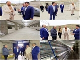 ‍ ‍  بازدید دکتر احمدی فرماندار شهرستان اهر  از گلخانه تولید علوفه هیدروپونیک متعلق به اقای محمدرضا عبدی در روستای آقبلاغ